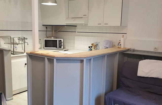 Apt 4/5 Pers Eaux Bonnes Proche de Gourette et Laruns