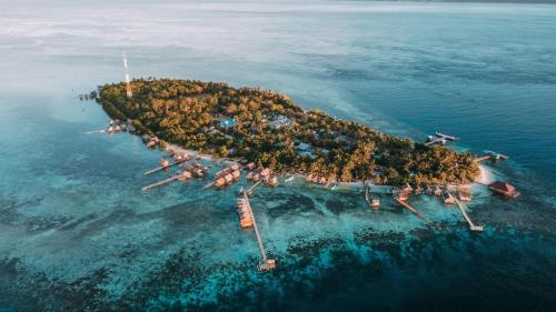Arborek Diving Homestay R4