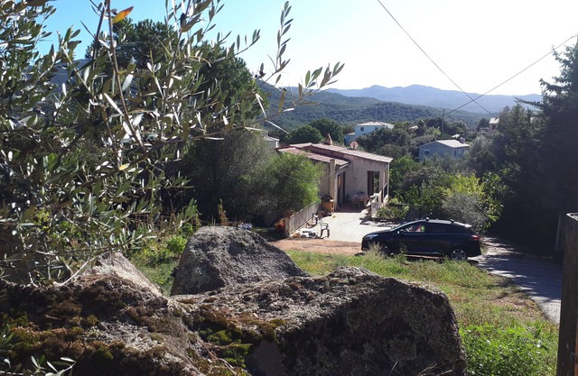 Arbutus trees. Top of house with garden. 500 meters from the beach.