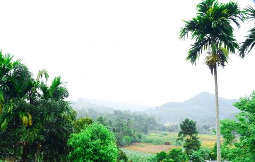 Arches View Home Stay