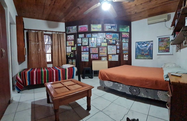 Artist Cultural Suite