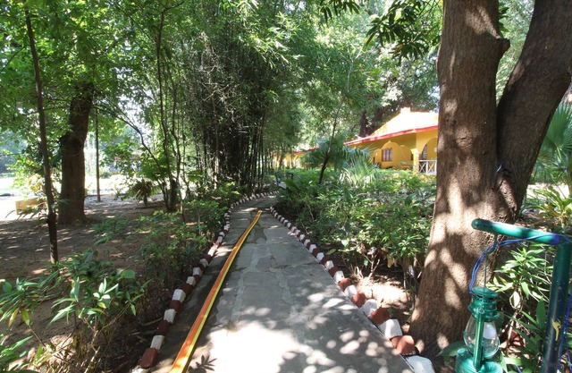 Ashoka Jungle Resort