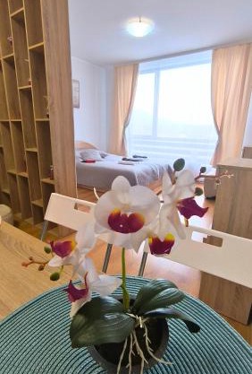 Aspen Golf Resort C207, free SPA