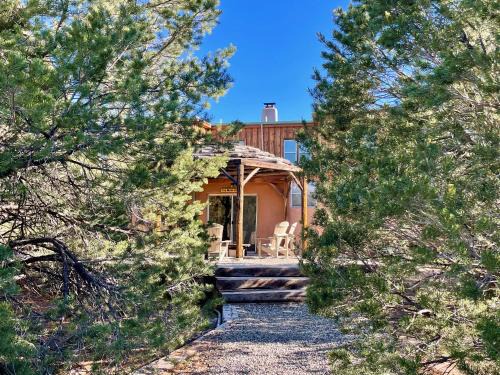 At Home in the Enchanted Forest of Taos County!