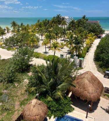 Atenea Holbox