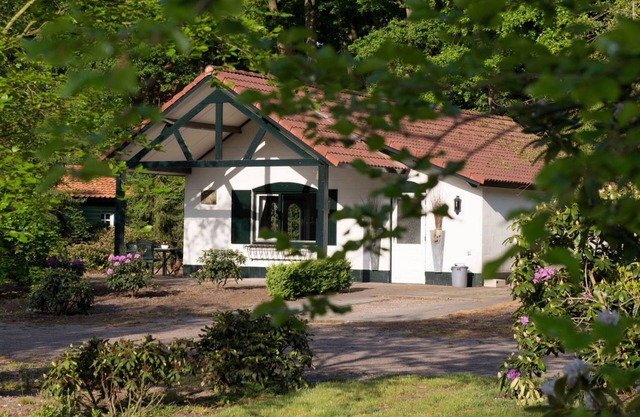 Attractive bungalow with a terrace at the Bedafse Bergen