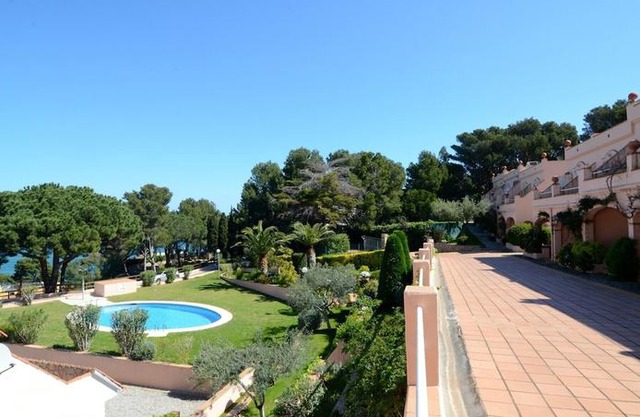 Ava Senia 4-1