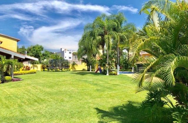 Azaleas, Jiutepec