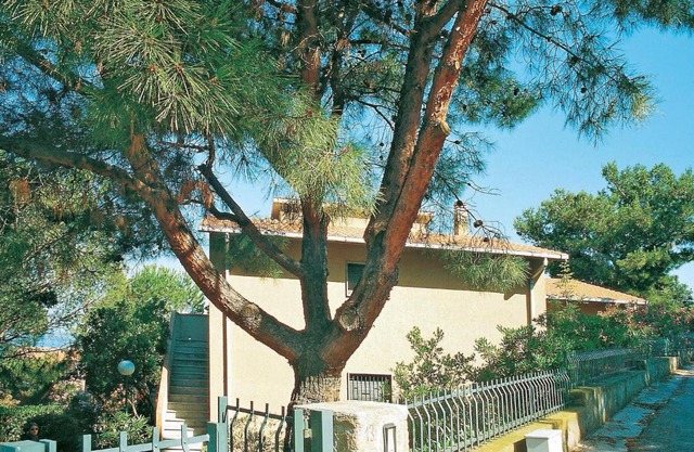 Azzurro 