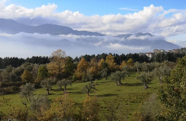 b&b Adamà