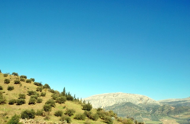 B&B Apartment near Caminito del Rey