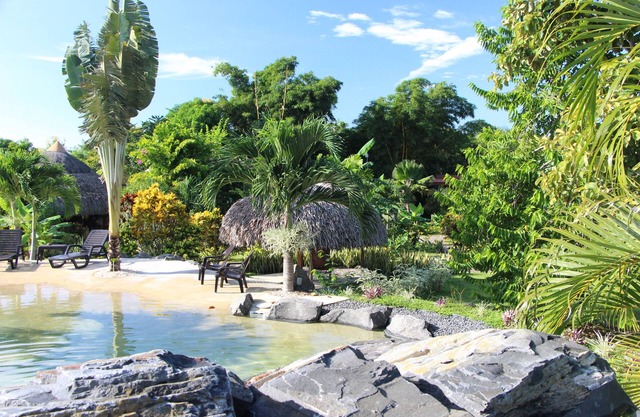 B&B CABANAS LOS COLIBRIS: Tropical garden, sea and mountains nearby!
