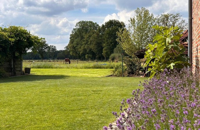 B&B Droomzoet