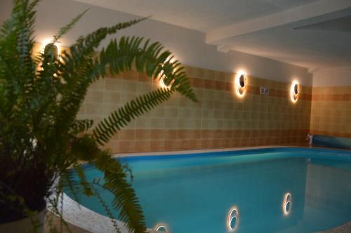 B&B Landrynka