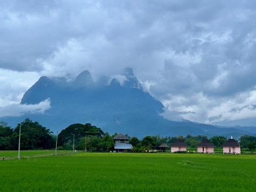 Baan Porhdoi Goidao