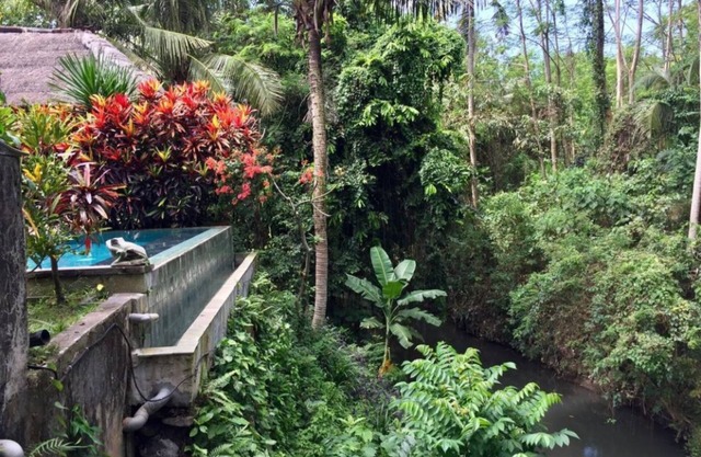 Balinese Style Superior Room in Sukawati Gianyar, Lush Garden in the Property