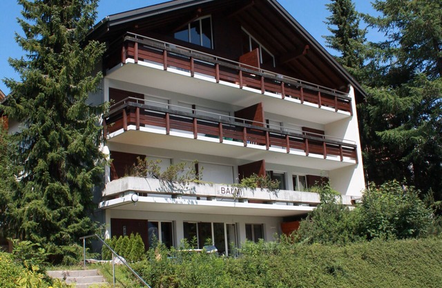 Balmi Apartment - in the heart of the Alps