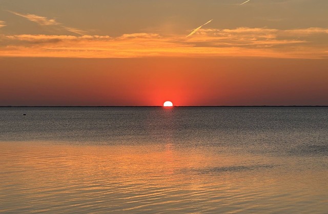 Bayfront Oasis, Magnificent Views, Kayaking/Fishing/Clamming, Wild Lives