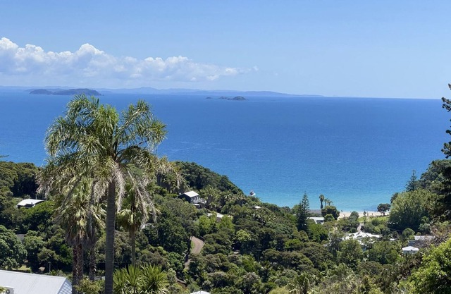 Baywatch Palm Beach Waiheke Island