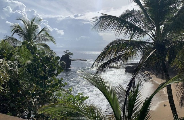 Beach Escape | Quiet Spot | Pool | Near Dining