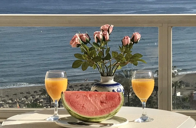 Beach front apartment hotel with nice seaviews, near Puerto Marina