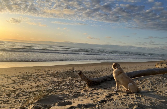 BEACH FRONT with Bay Views! Pet Friendly