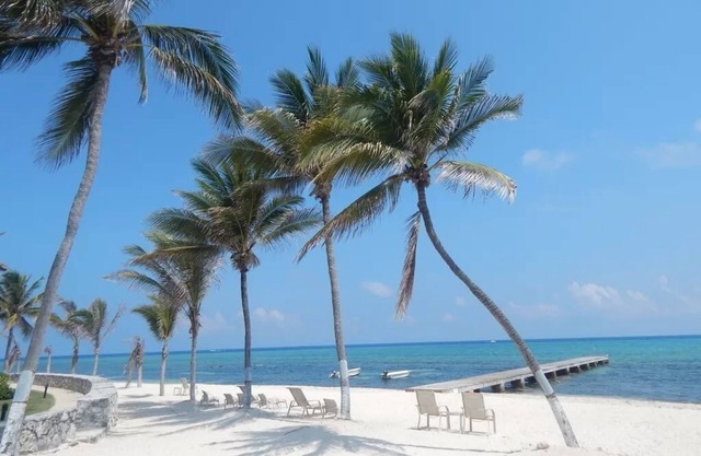 Beach Living at Villas Pappagallo BLDL