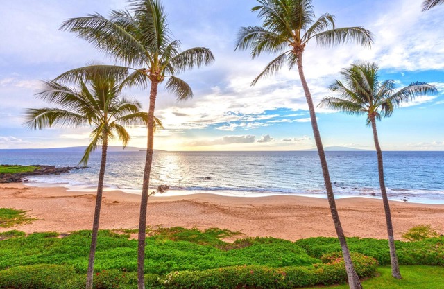 Beachfront Condo B303 - Oct 9-22 still available