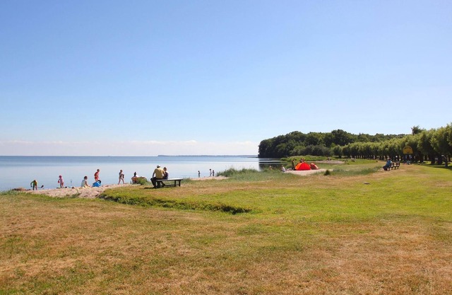 Beachfront apartment with terrace and sea view - Ferienhaus Boddenblick FeWo EG