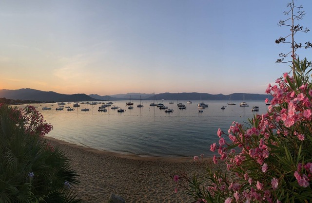 Beachfront house in Porto Pollo with private access to the beach