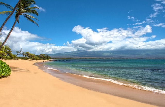 Kanai Nalu Wailuku 