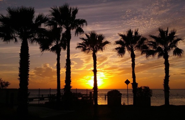 Beachside Luxury Condo By Rent On Padre
