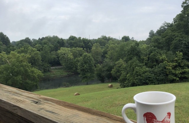 Beautiful and Secluded 3 BR/3 BA Home on South Holston River
