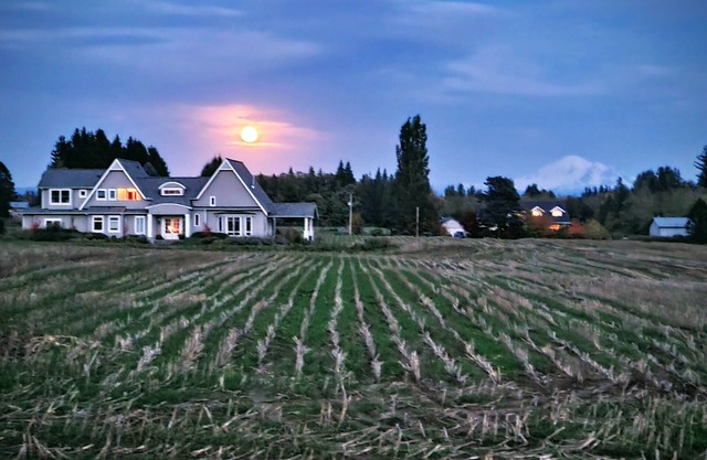 Beautiful and spacious family home with WiFi, AC and Mt. Baker views