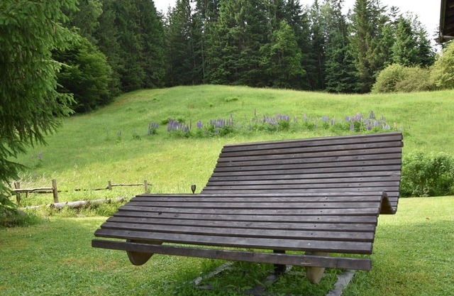 Beautiful apartment for 2 people with WIFI, TV, terrace and pets allowed
