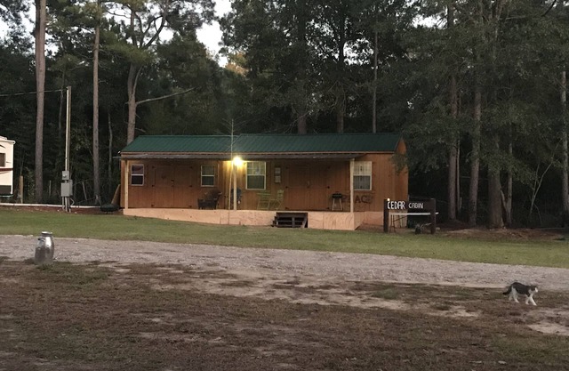 beautiful cedar hut in the woods