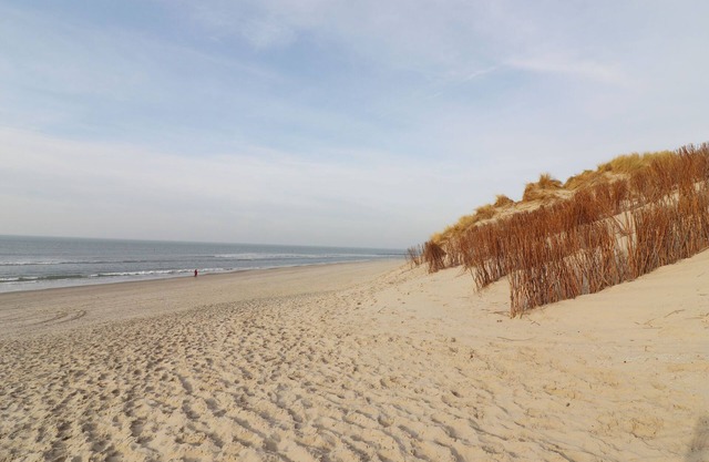 Beautiful chalet between golf course and beach