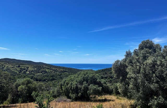 Beautiful Corsican house, sea view, authenticity and calm