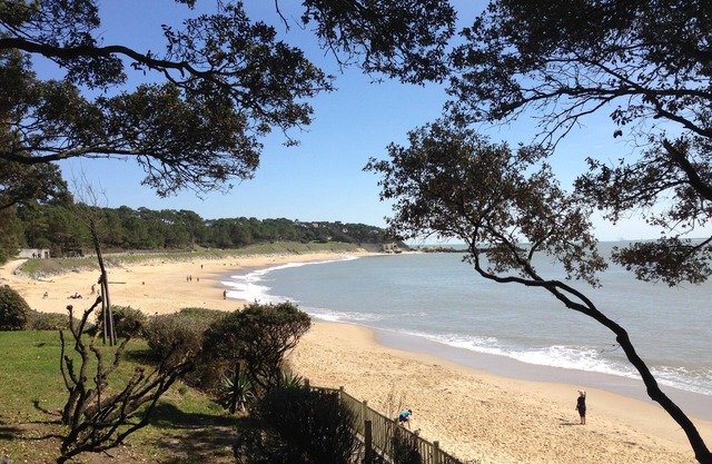 Beautiful apartment direct access beach