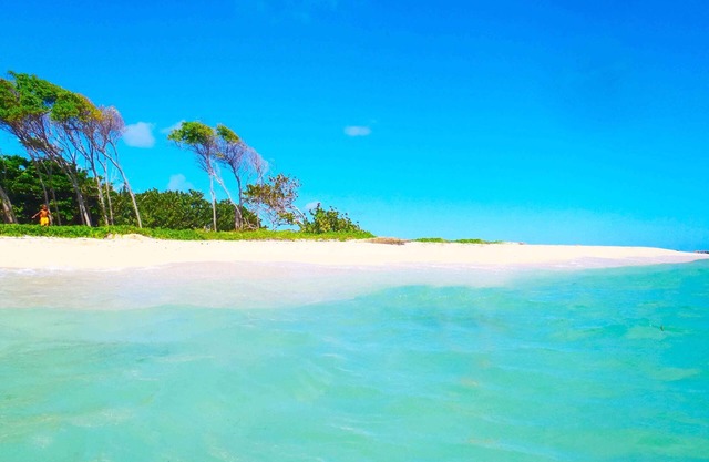 BEAUTIFUL FURNISHED TOURIST (T3 SQUILLE), QUIET IN THE SOUTH NEAR THE BEAUTIFUL BEACH