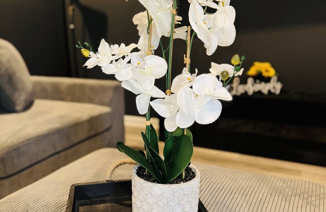 Beautiful Home! 75 in TV & Wifi for free New Property Close to Downtown.