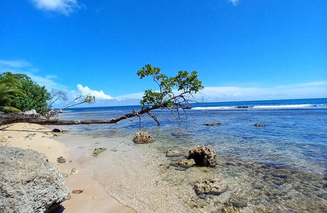 Beautiful large home in Paunch, Bocas del Toro