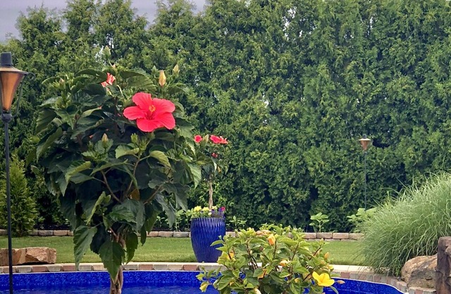 Beautiful Resort Like Home: Game room, Gym & Pool