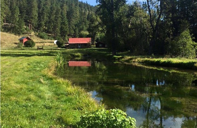 Beautiful Rustic Indian-Bear Cabin Right on the Pecos River.