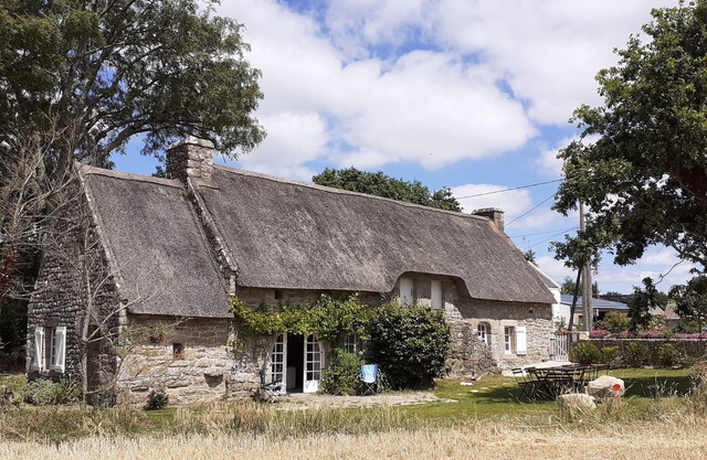 Beautiful thatched cottage in the middle of the field