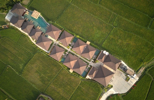 Beautiful Villa with Private Pool overlooking to Rice Field