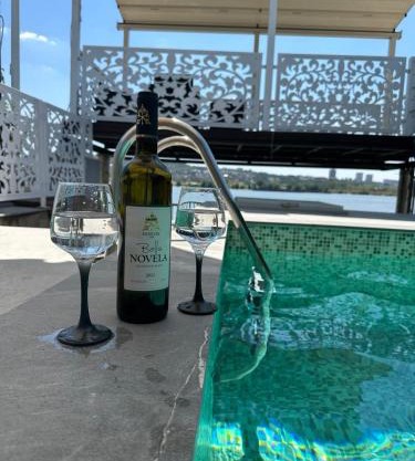 Belgrade River House