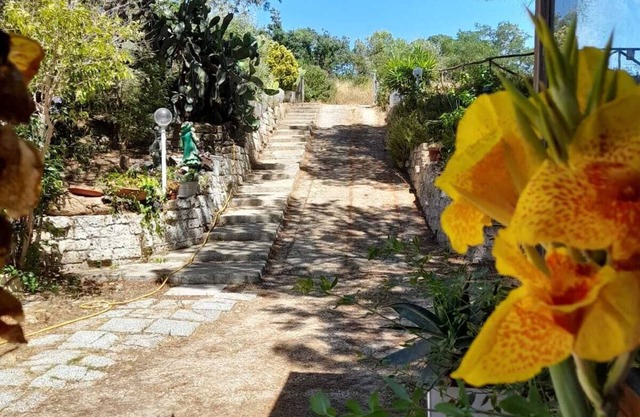 Belvedere House, surrounded by greenery 2 km from the beaches