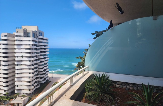 Best Studio at Marina Casablanca!