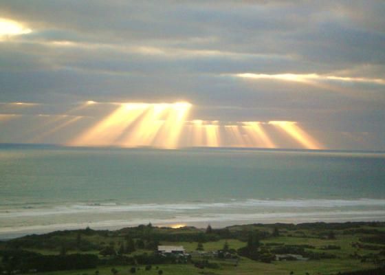 Best view in Muriwai Beach